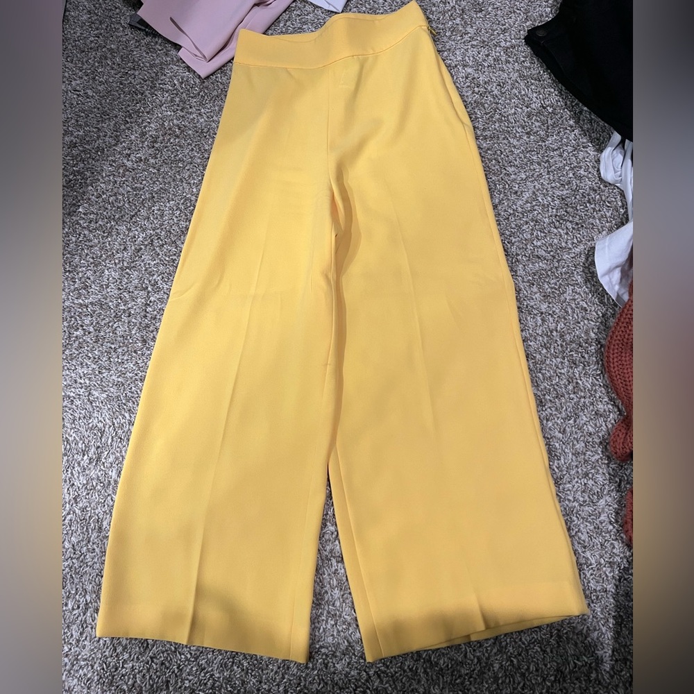 Zara Wide Leg Pants